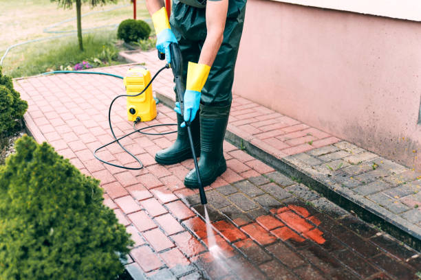 Best Dumpster Area Cleaning  in Brighton, MI