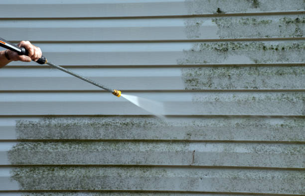 Professional Pressure Washing in Brighton, MI