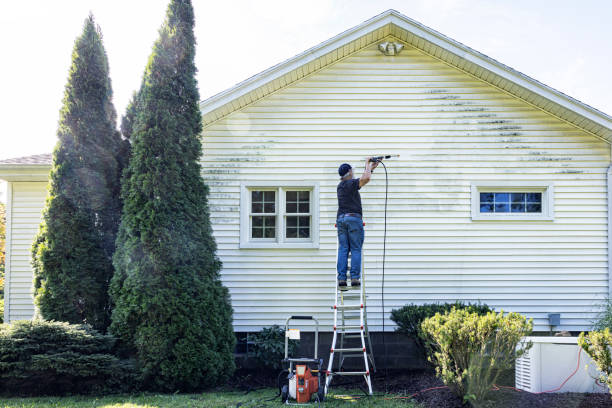 Best Post-Construction Pressure Washing  in Brighton, MI