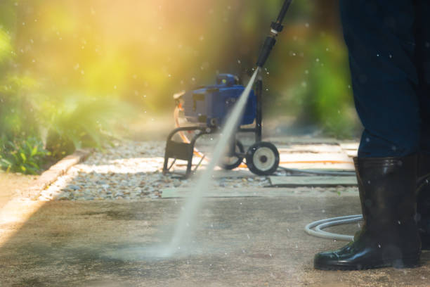 Animal Enclosure Cleaning in Brighton, MI